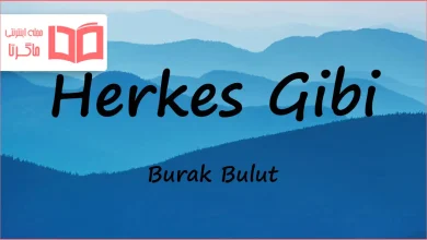 متن و ترجمه آهنگ Herkes Gibi از Burak Bulut