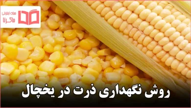 روش نگهداری ذرت در یخچال