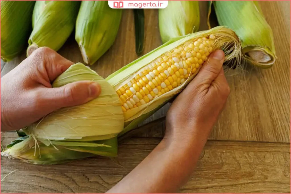 بلال ذرت با پوست کامل و دانه‌های تازه داخل آن