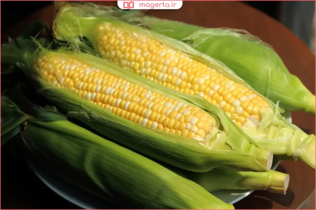 ذرت با پوست چیده‌شده و آماده نگهداری یا مصرف