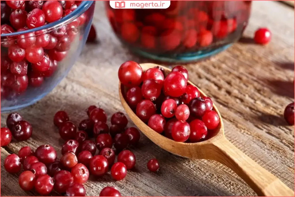 میوه زغال اخته چیده‌شده و آماده مصرف خانگی