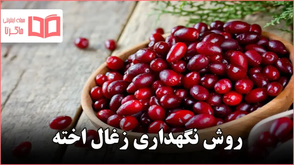 روش نگهداری زغال اخته