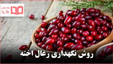 روش نگهداری زغال اخته