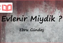 متن و ترجمه آهنگ Evlenir Miydik از Ebru Gündeş
