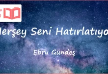 متن و ترجمه آهنگ Herşey Seni Hatırlatıyor از Ebru Gündeş