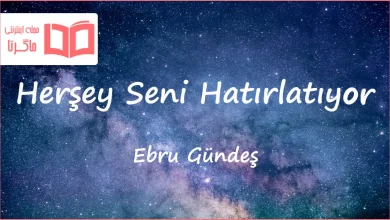 متن و ترجمه آهنگ Herşey Seni Hatırlatıyor از Ebru Gündeş