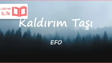 متن و ترجمه آهنگ Kaldırım Taşı از EFO