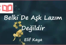 متن و ترجمه آهنگ Belki De Aşk Lazım Değildir از Elif Kaya