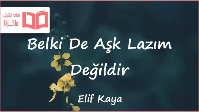متن و ترجمه آهنگ Belki De Aşk Lazım Değildir از Elif Kaya