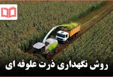 روش نگهداری ذرت علوفه ای