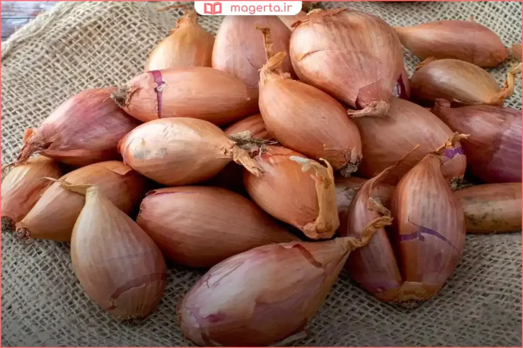 موسیر تازه شسته‌شده و آماده مصرف در آشپزخانه