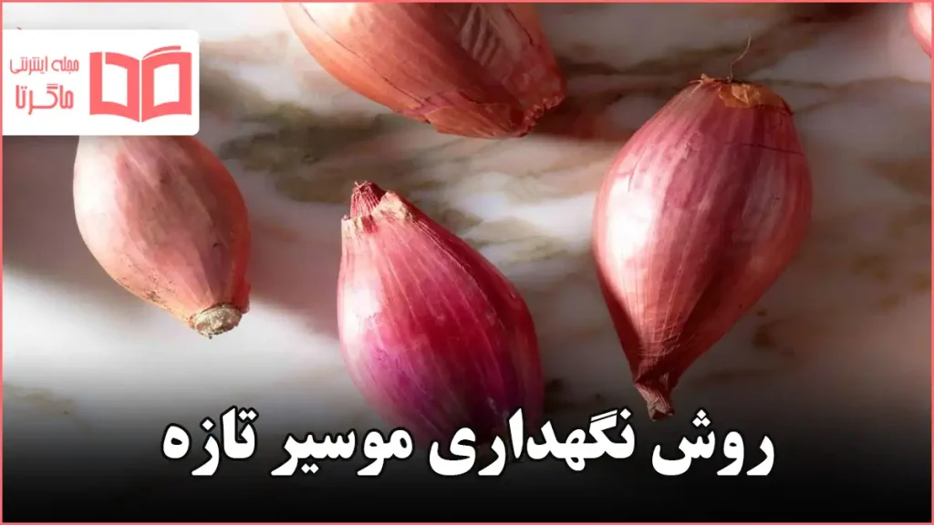 روش نگهداری موسیر تازه