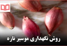 روش نگهداری موسیر تازه