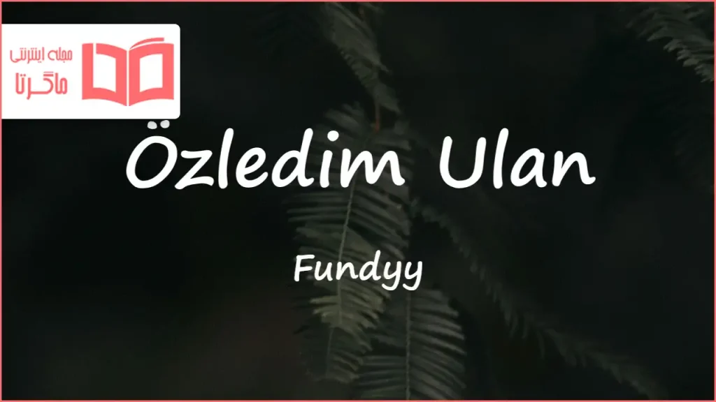 متن و ترجمه آهنگ Özledim Ulan از Fundyy