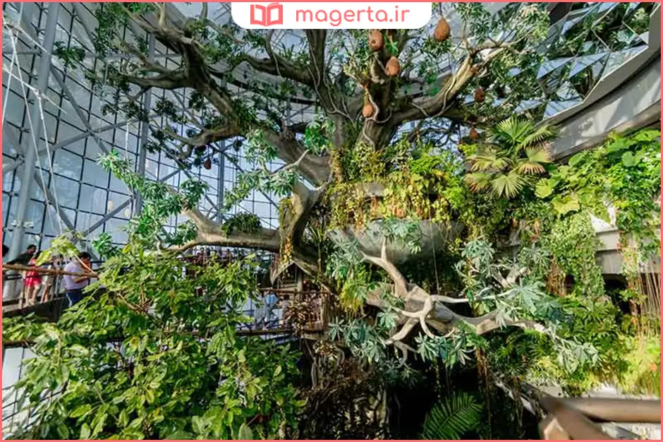 سیاره سبز دبی