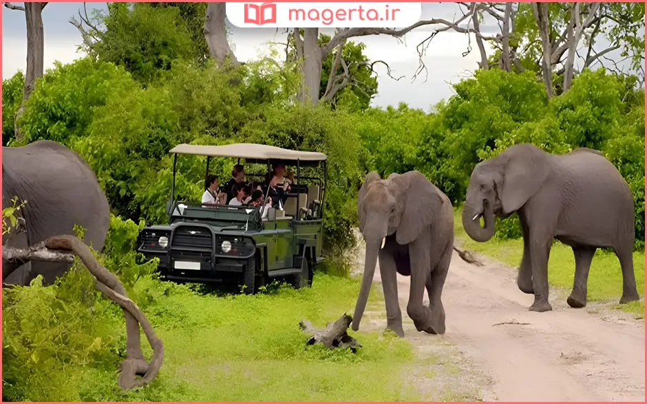 پارک سافاری دبی