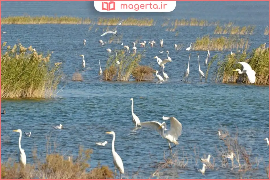 تالاب هورالعظیم