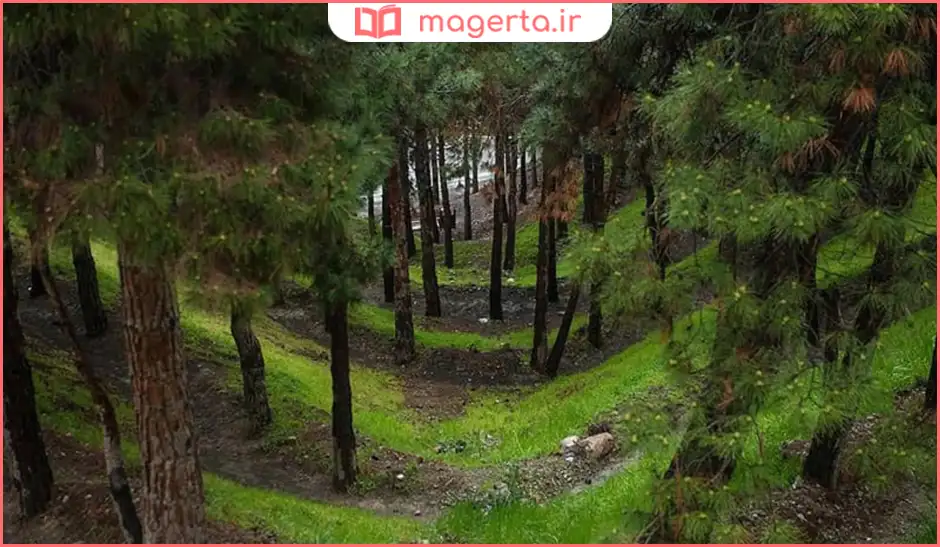 بوستان لویزان تهران