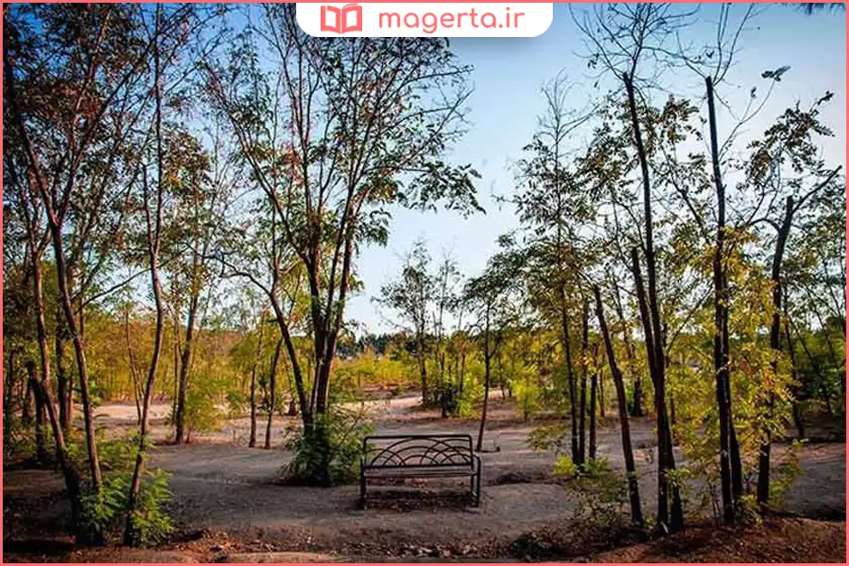 پارک جنگلی چیتگر تهران