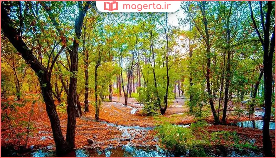 پارک جنگلی چیتگر