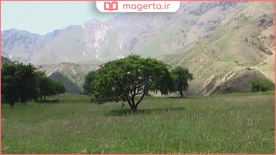 منطقه انگوران