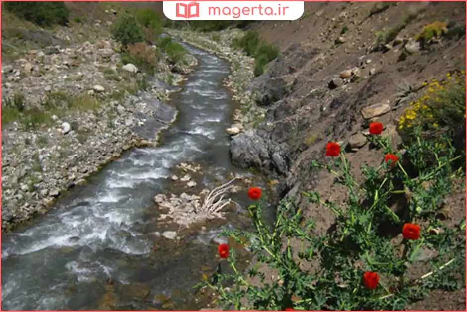 رودخانه تار