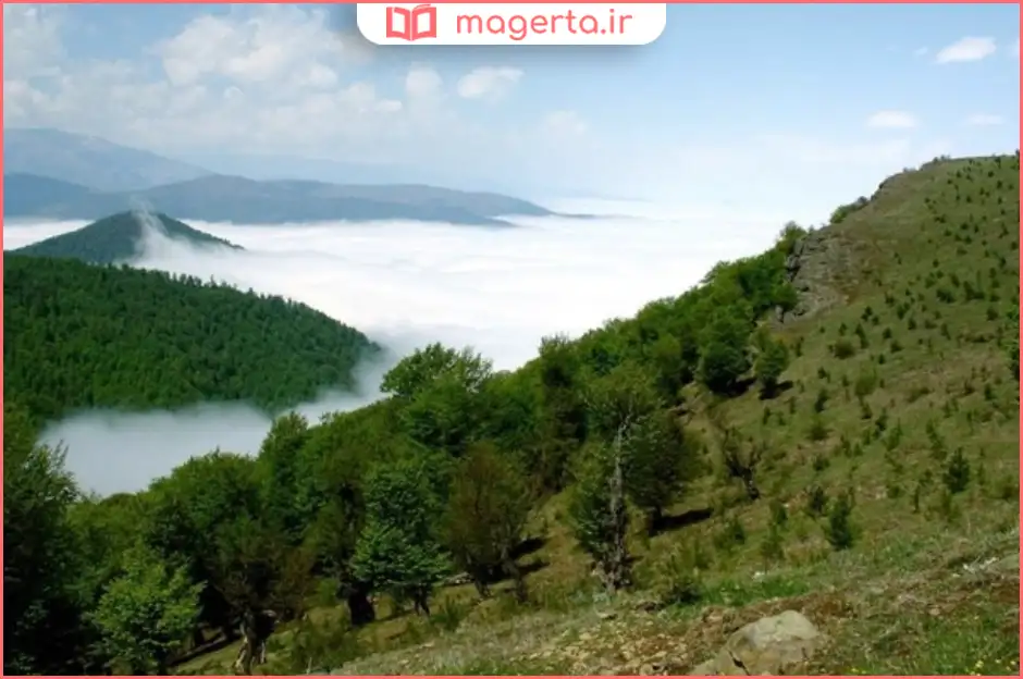 جنگل و دره مکیدی