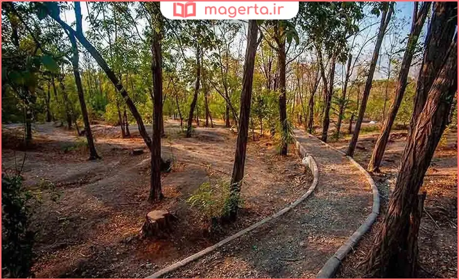پارک جنگلی چیتگر شرقی پاکدشت
