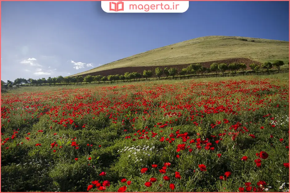 دشتهای اطراف حسنآباد