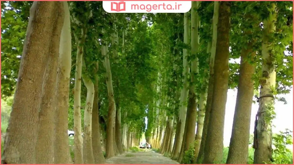 روستای بابا سلمان شهریار