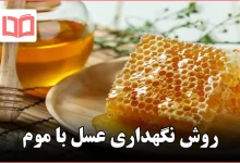 روش نگهداری عسل با موم