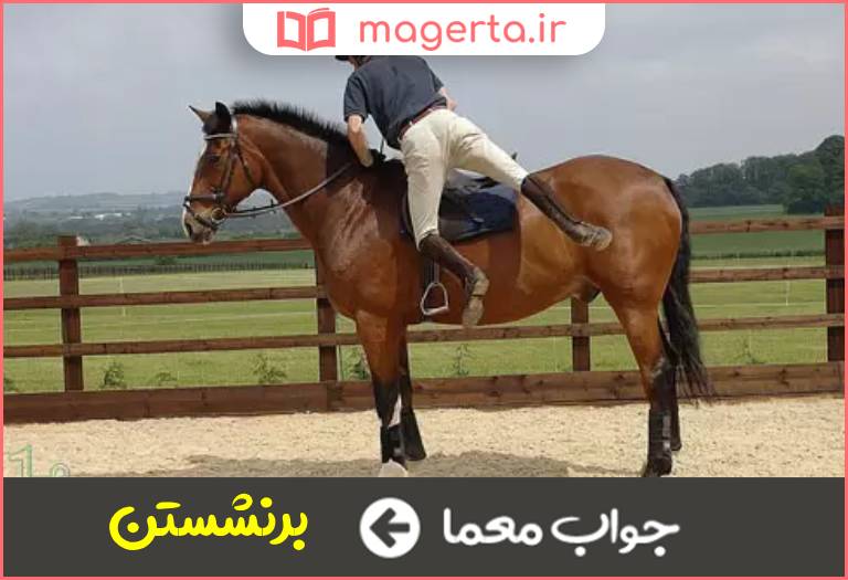 جواب معما سوار شدن بر اسب در جدول