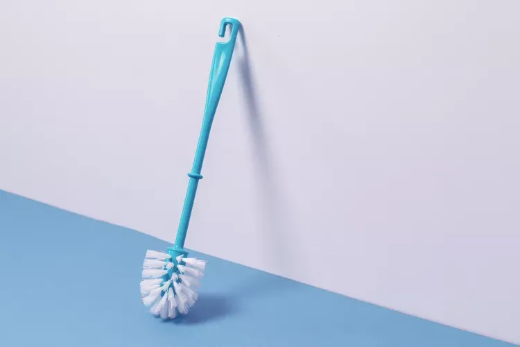 بهداشت برس توالت