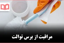 چگونه برس توالت را تمیز و بهداشتی نگه داریم