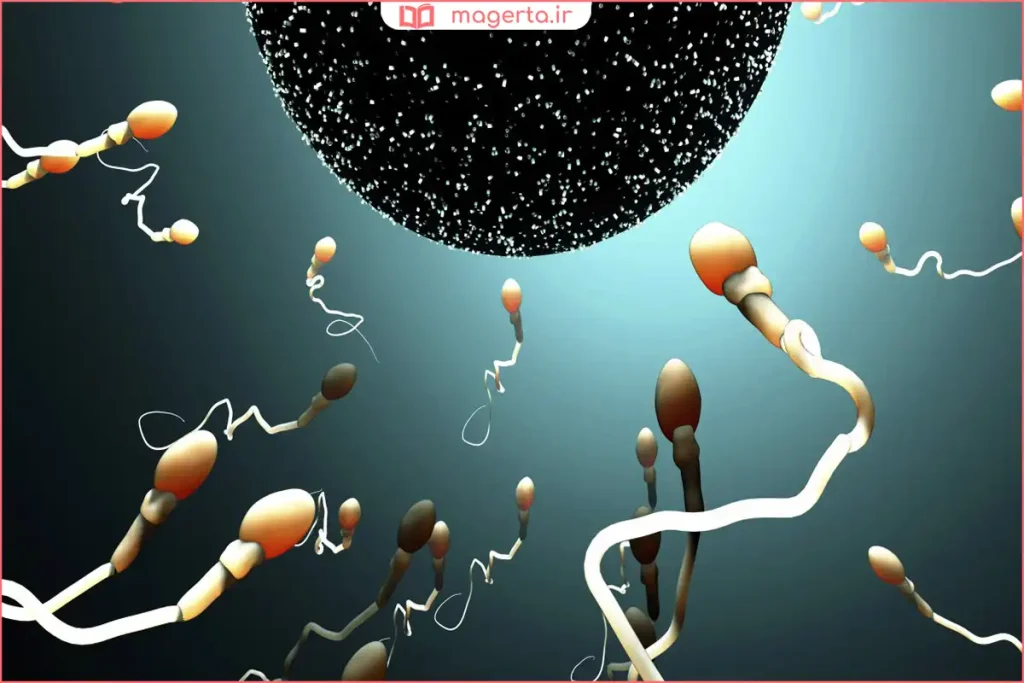 تست بارداری خانگی با نتیجه مثبت در روزهای ابتدایی