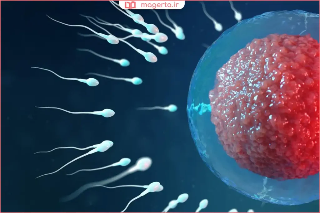 بررسی علائم اولیه لقاح مانند لکه‌بینی و حساسیت سینه