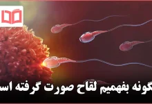 چگونه بفهمیم لقاح صورت گرفته است