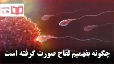 چگونه بفهمیم لقاح صورت گرفته است