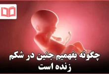 چگونه بفهمیم جنین در شکم زنده است