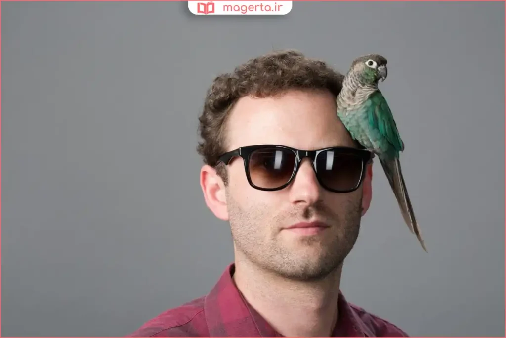 طوطی گرینچیک روی نشیمن با تمرکز بر تفاوت‌های ظاهری نر و ماده