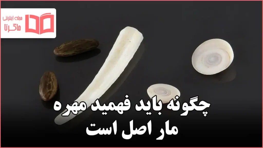 چگونه باید فهمید مهره مار اصل است