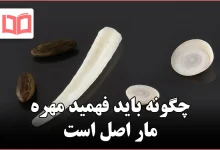 چگونه باید فهمید مهره مار اصل است