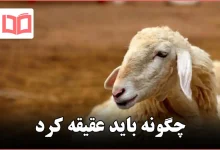 چگونه باید عقیقه کرد