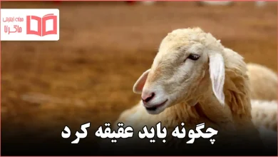 چگونه باید عقیقه کرد