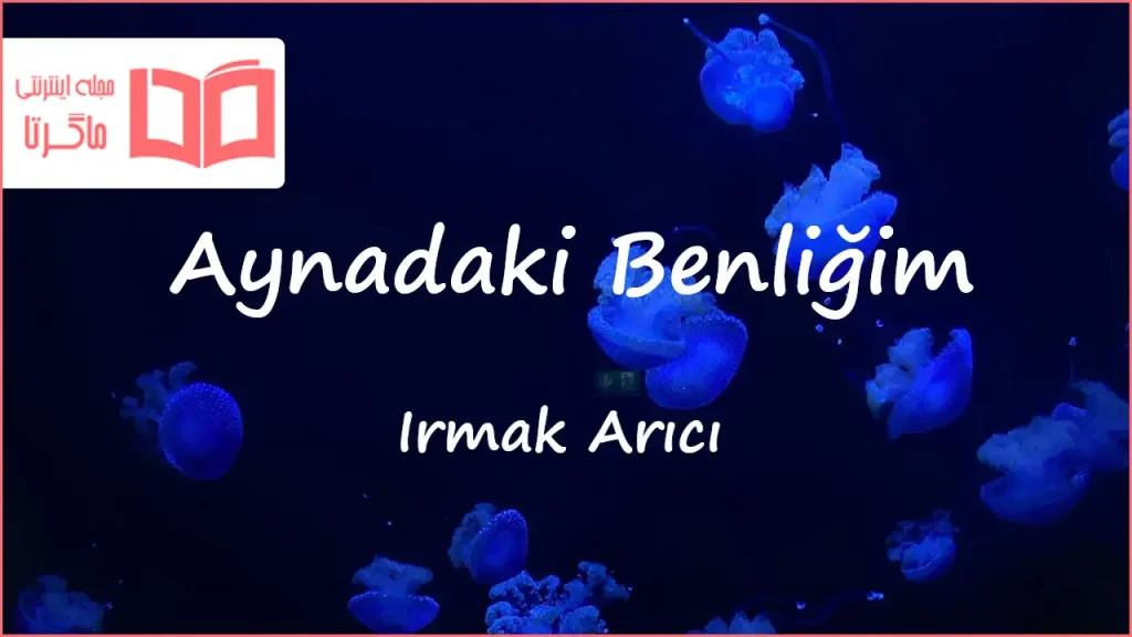 متن و ترجمه آهنگ Aynadaki Benliğim از Irmak Arıcı