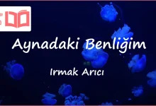 متن و ترجمه آهنگ Aynadaki Benliğim از Irmak Arıcı