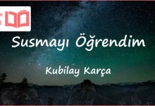 متن و ترجمه آهنگ Susmayı Öğrendim از Kubilay Karça