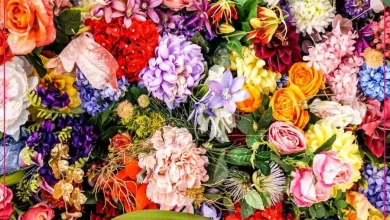 لیست گل های ارزان قیمت طبیعی