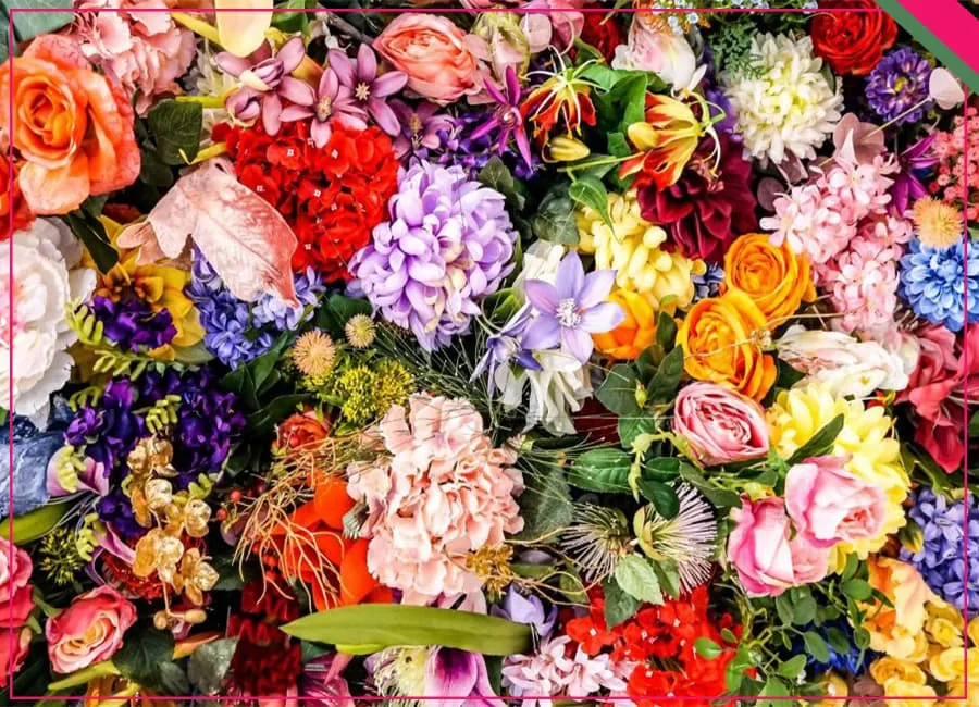 لیست گل های ارزان قیمت طبیعی