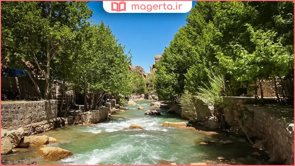 چشمه ناز ونک